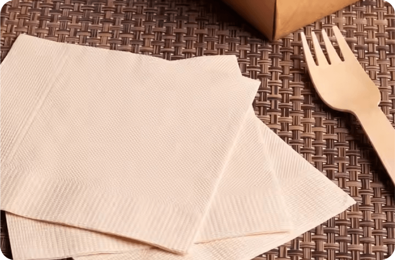 Product-image_Tissue_napkins - two