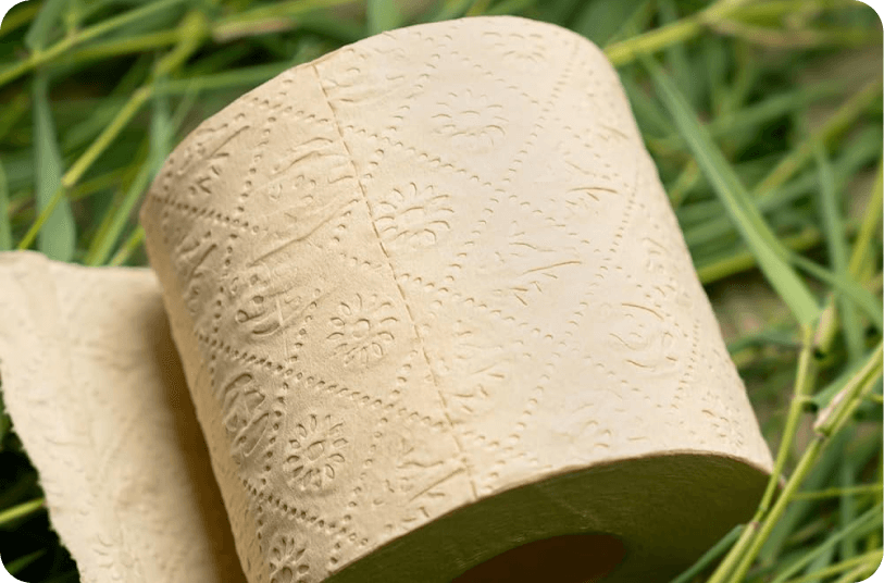 Product_Toilet_Roll_one